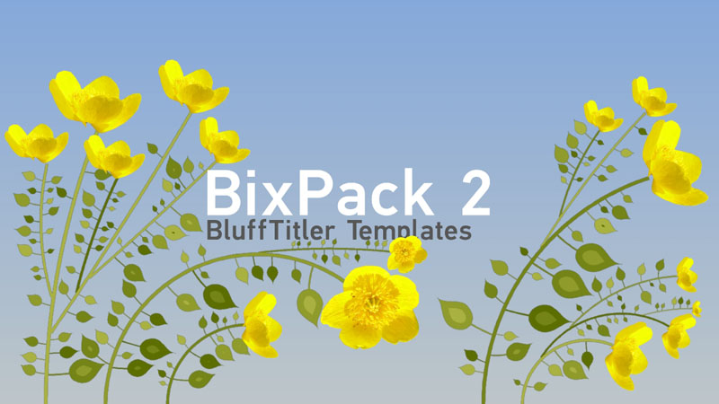 BIXPACK 2 - Ornaments (Ornamentální kresby) - Obrázek 7