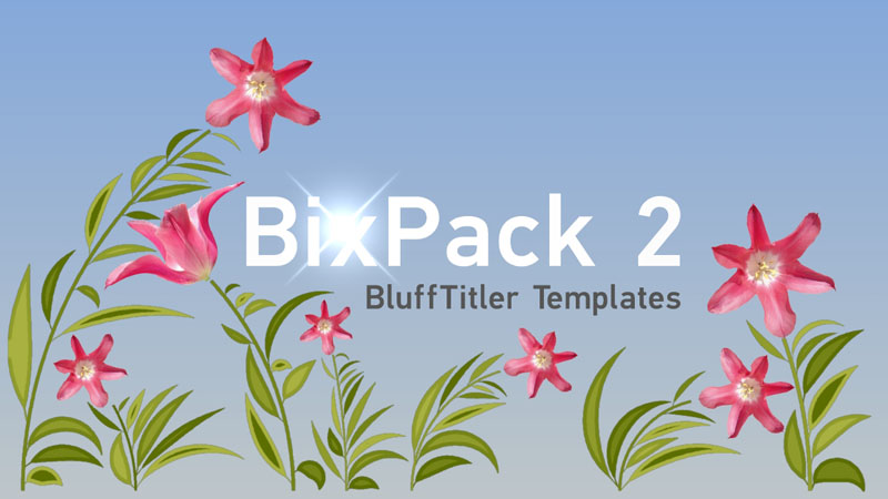 BIXPACK 2 - Ornaments (Ornamentální kresby) - Obrázek 8
