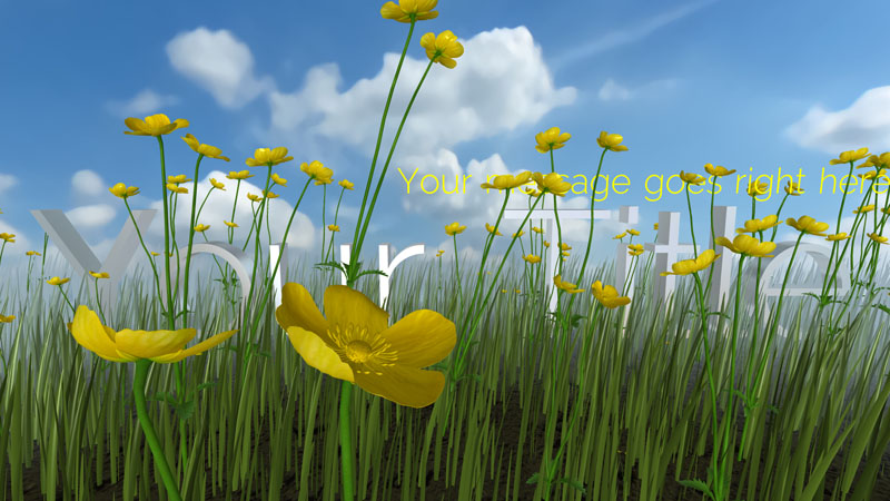 BIXPACK 28 - Flowers (Květiny) - Obrázek 3