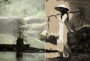 Video plugin AKVIS Charcoal Video - ukázka výtvarného efektu kreslení uhlem a křídou před a po