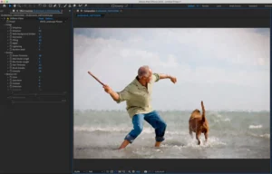 Uživatelské rozhraní video pluginu AKVIS OilPaint Video